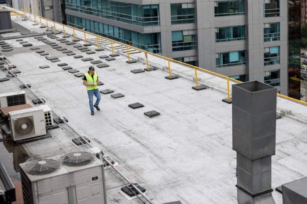 Best Roof Insulation Installation  in Chelsea, MI