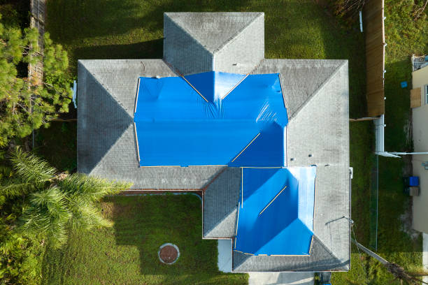 Best Roof Leak Repair  in Chelsea, MI