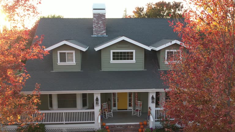 Best Asphalt Shingles Roofing  in Chelsea, MI