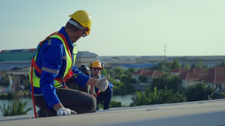 Best Cold Roofs  in Chelsea, MI