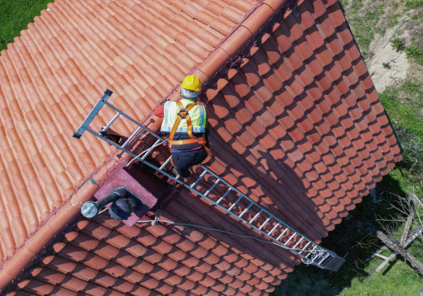 Best Green or Eco-Friendly Roofing Solutions  in Chelsea, MI