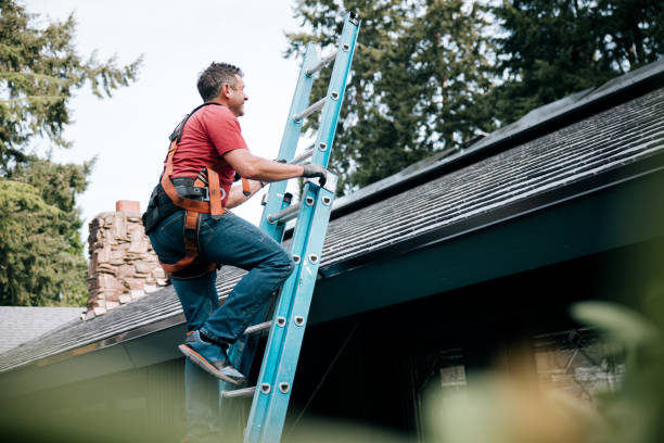 Best 4 Ply Roofing  in Chelsea, MI