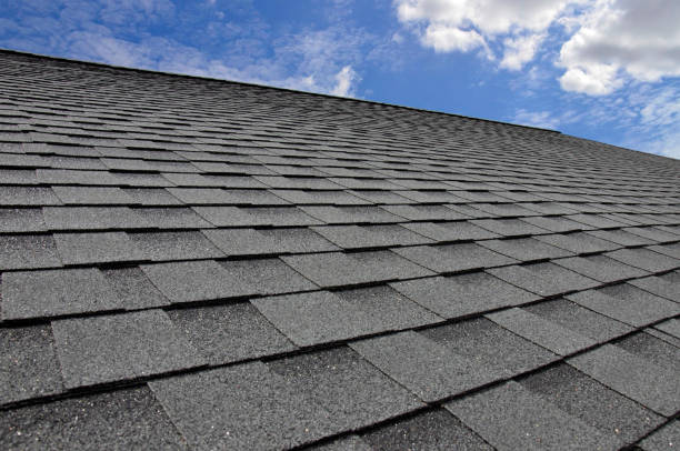 Best Flat Roofing  in Chelsea, MI